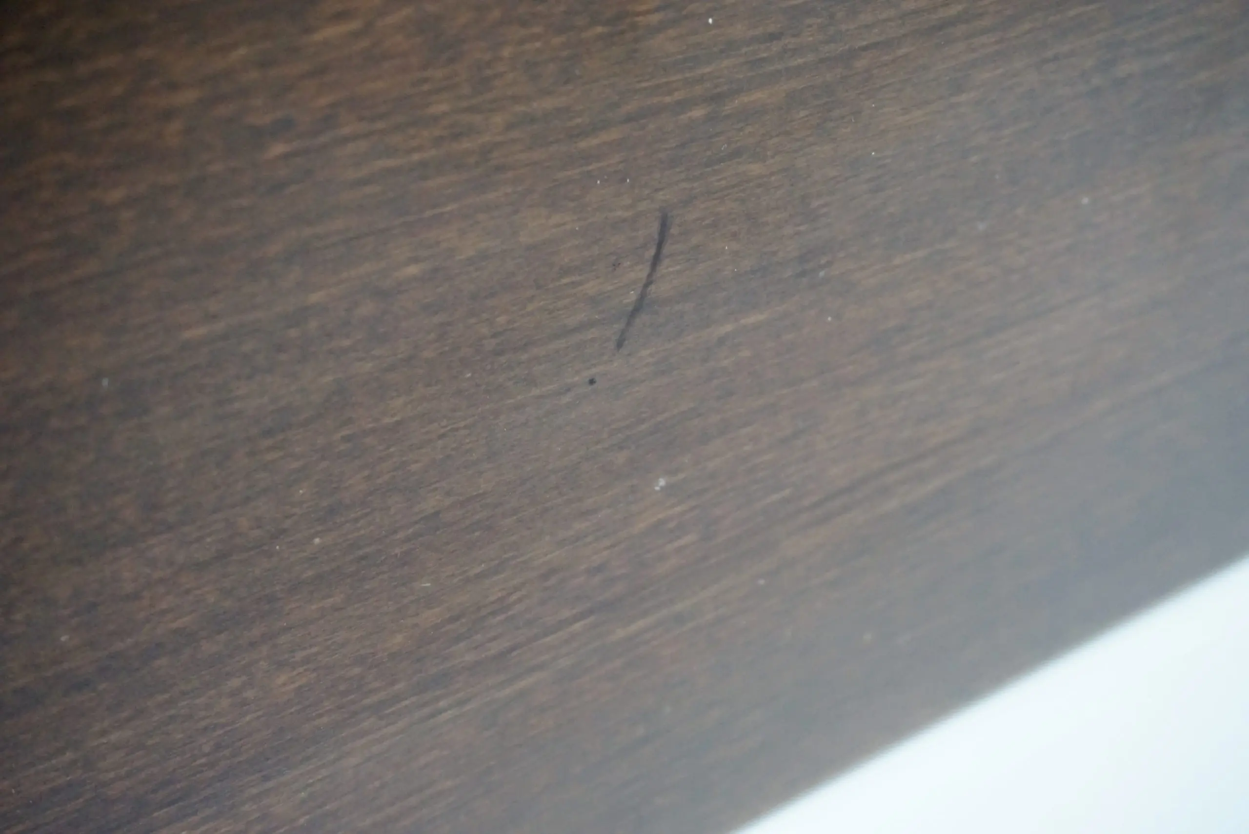 rare executive desk table by Gio Ponti for Pirelli Tower in Milan, by Rima 1961 — photo 19