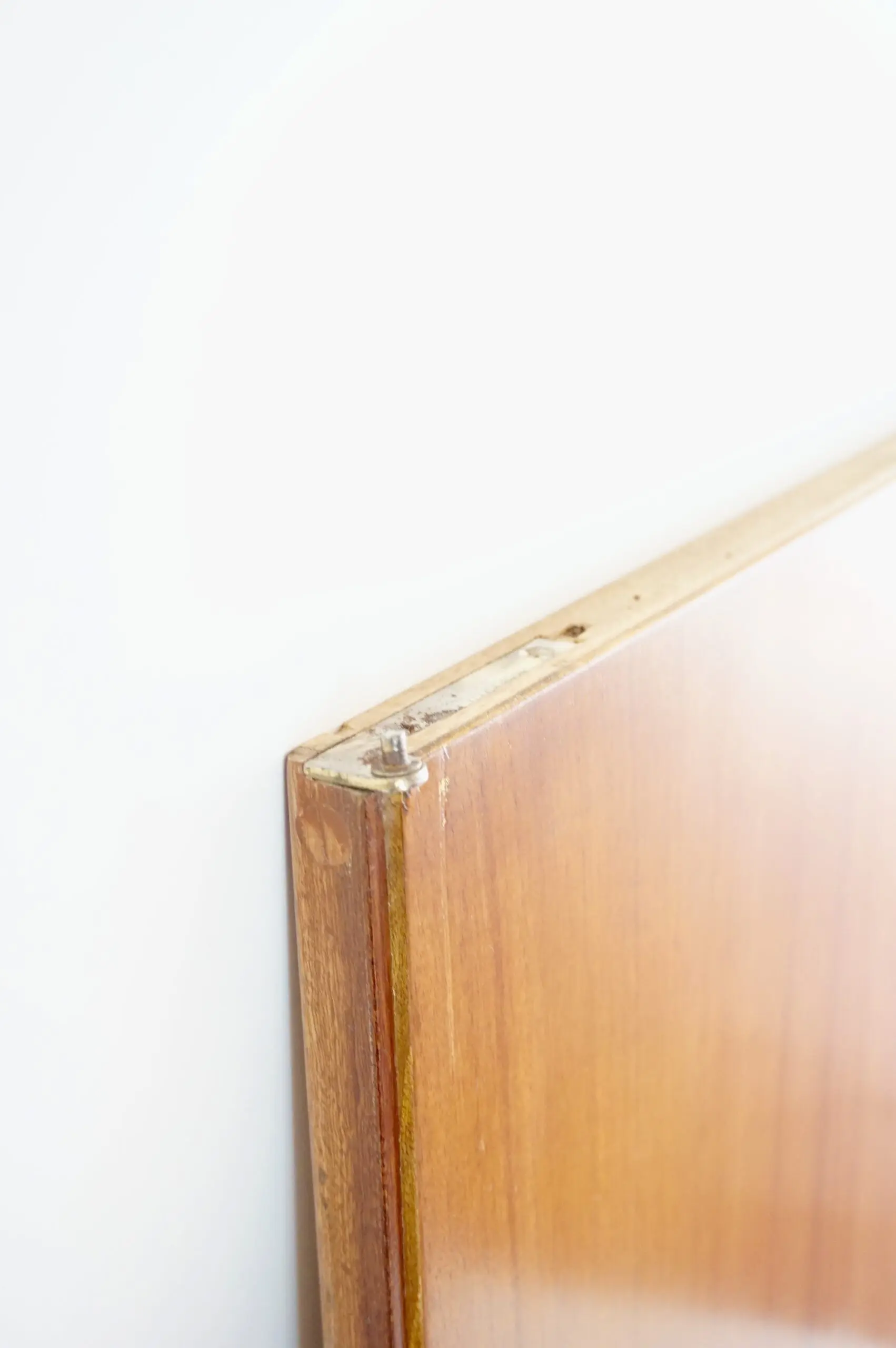 Pair of Gio Ponti Wardrobe  Doors from the Hotel Royal, Naples, 1955 — photo 16