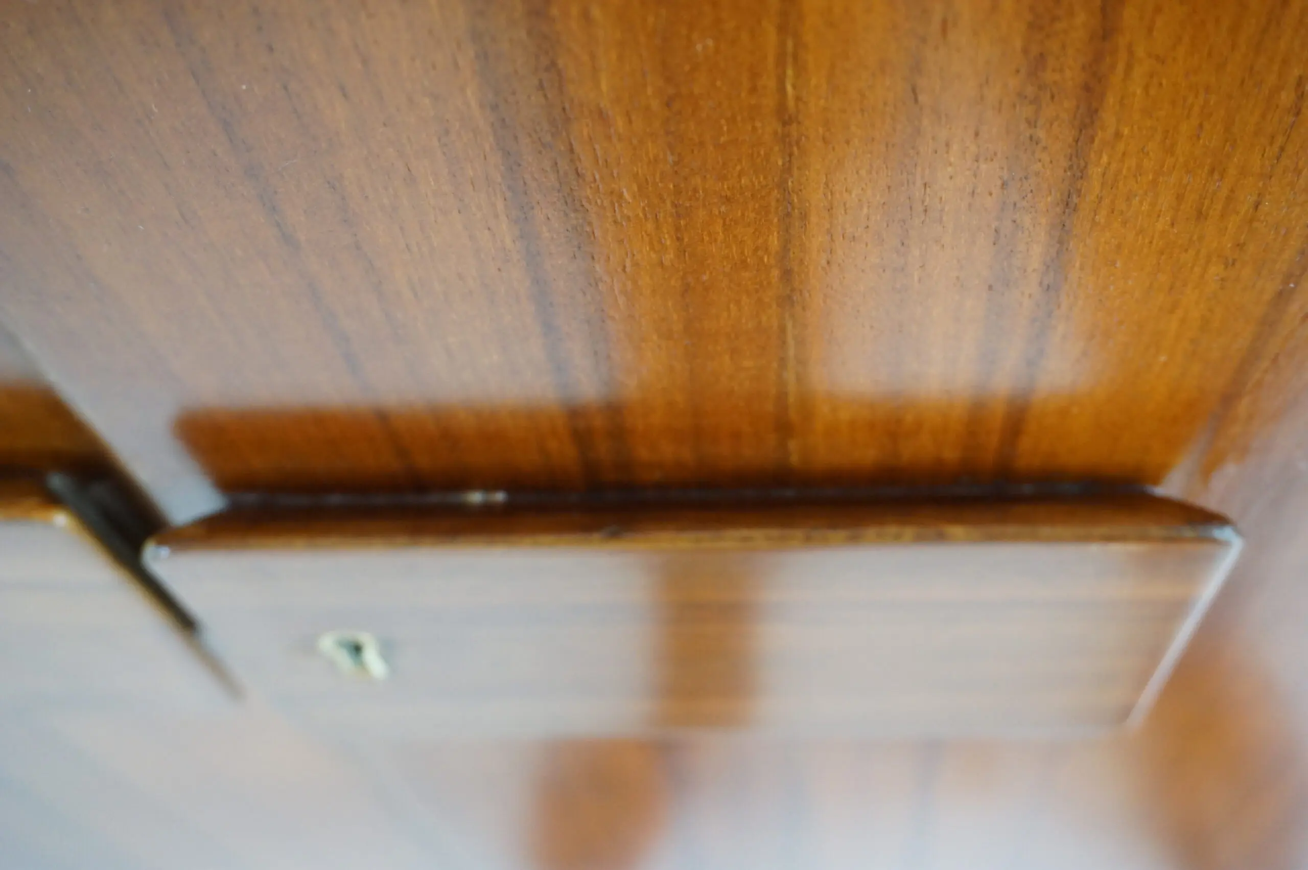 Pair of Gio Ponti Wardrobe  Doors from the Hotel Royal, Naples, 1955 — photo 15