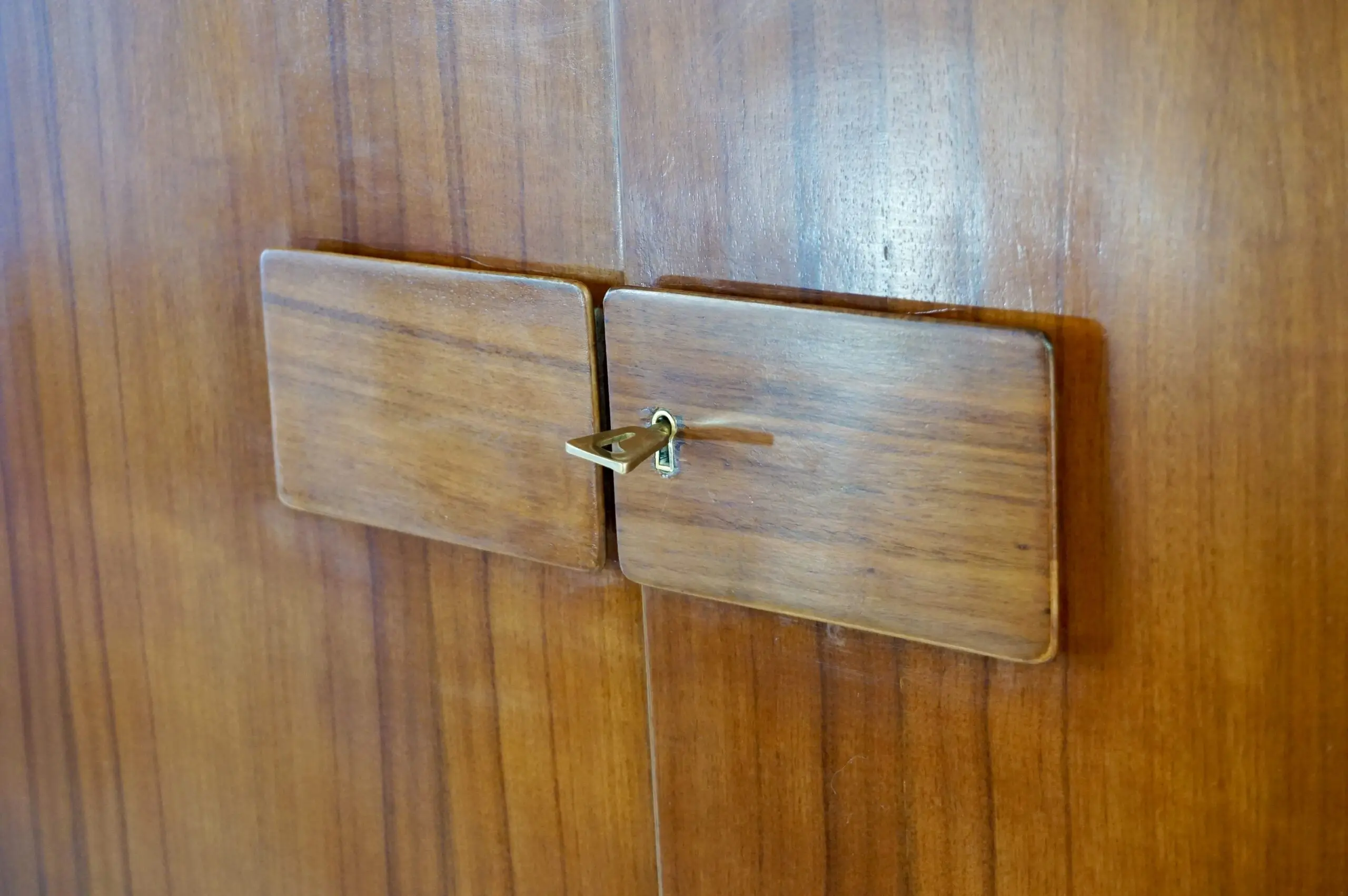 Pair of Gio Ponti Wardrobe  Doors from the Hotel Royal, Naples, 1955 — photo 6