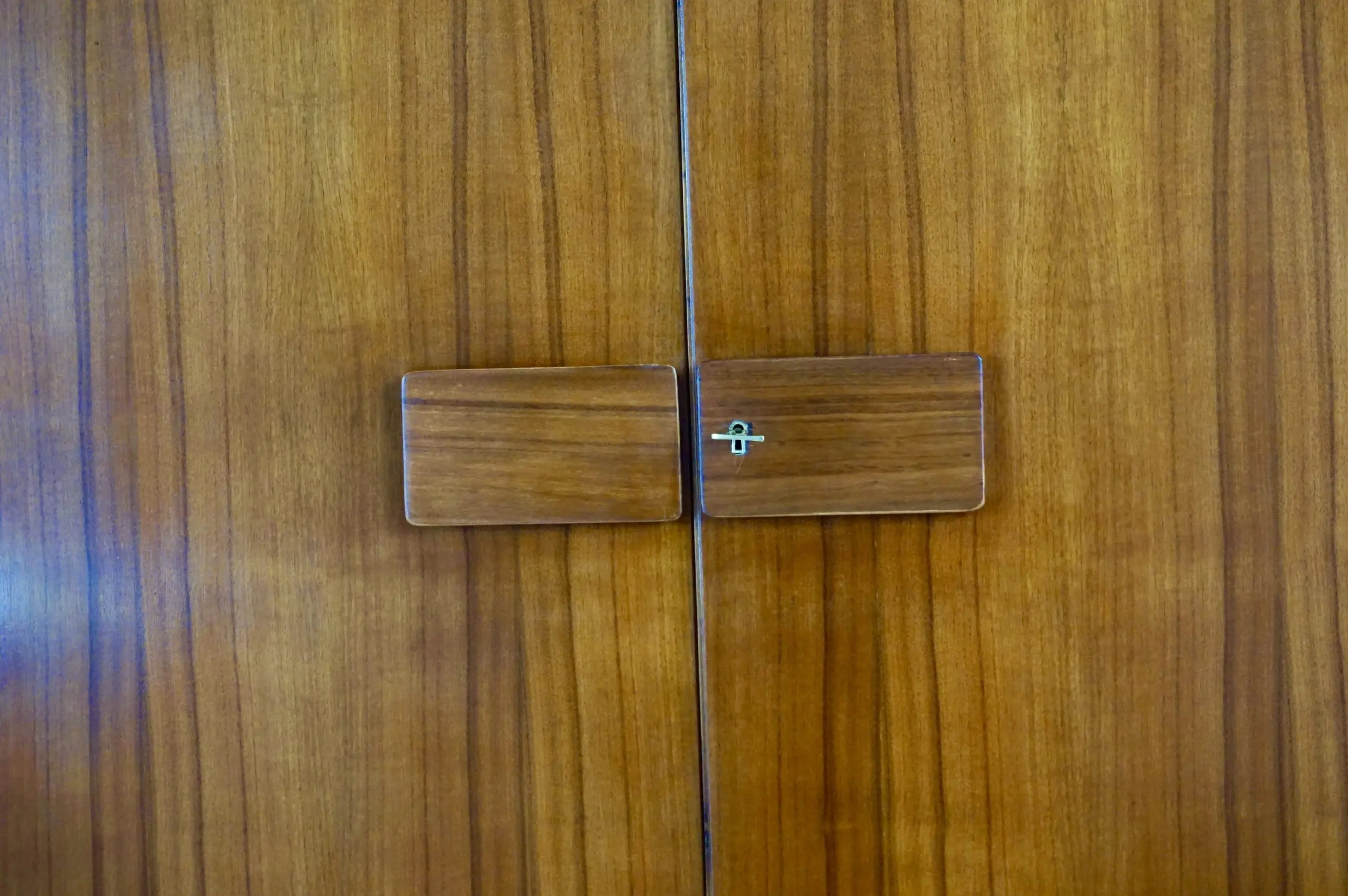 Pair of Gio Ponti Wardrobe  Doors from the Hotel Royal, Naples, 1955 — photo 4