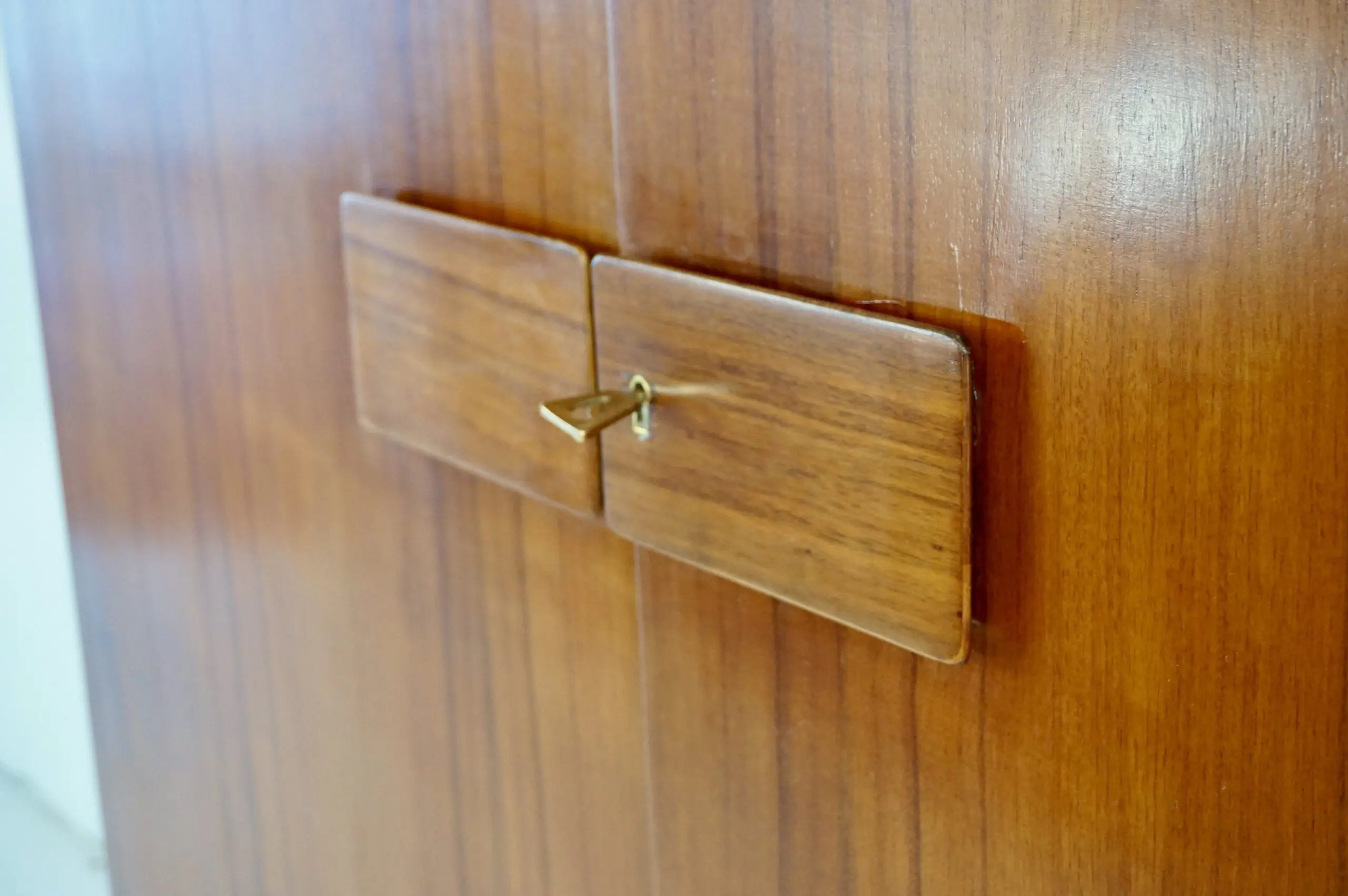Pair of Gio Ponti Wardrobe  Doors from the Hotel Royal, Naples, 1955 — photo 5