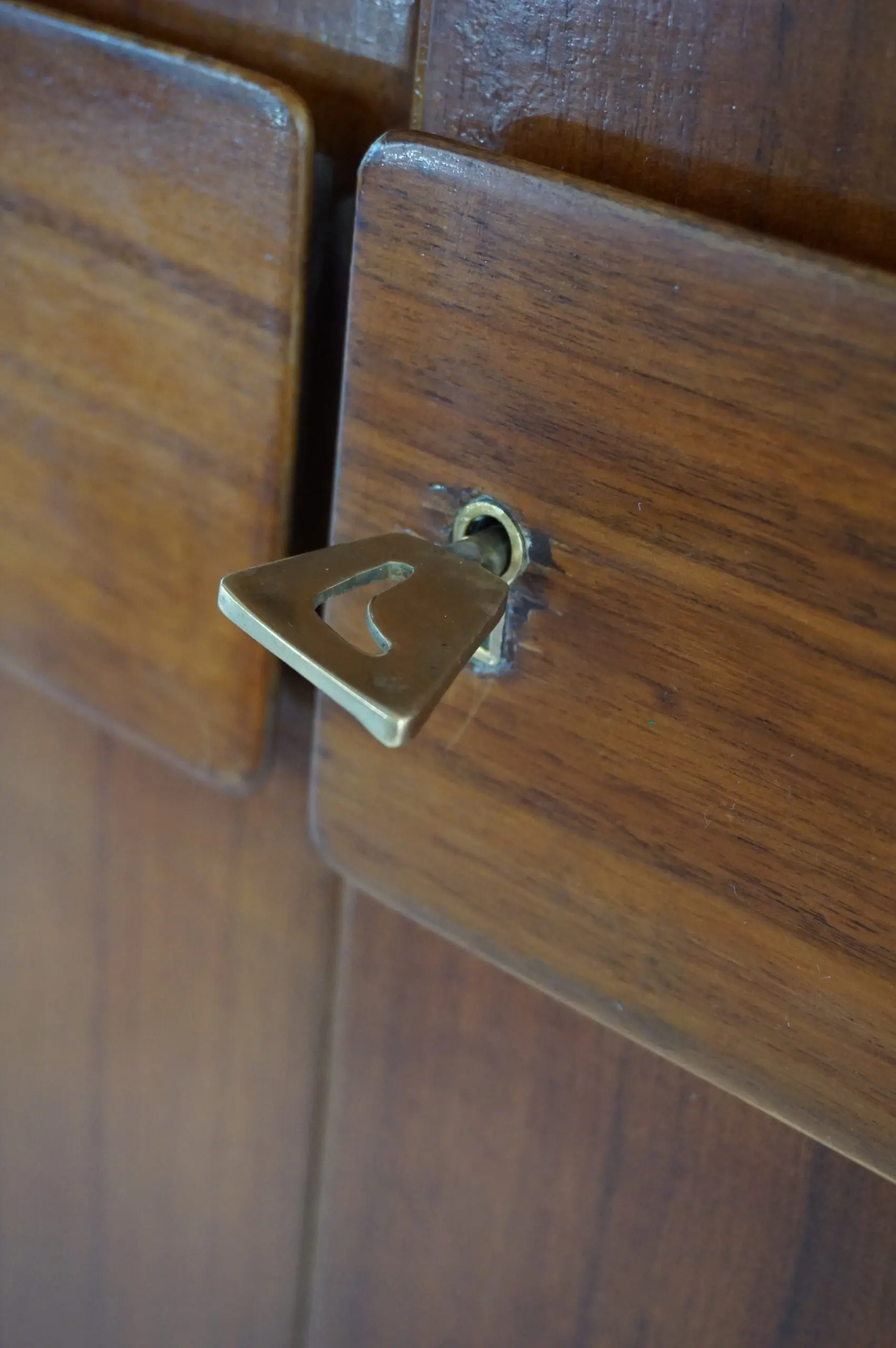 Pair of Gio Ponti Wardrobe  Doors from the Hotel Royal, Naples, 1955 — photo 11