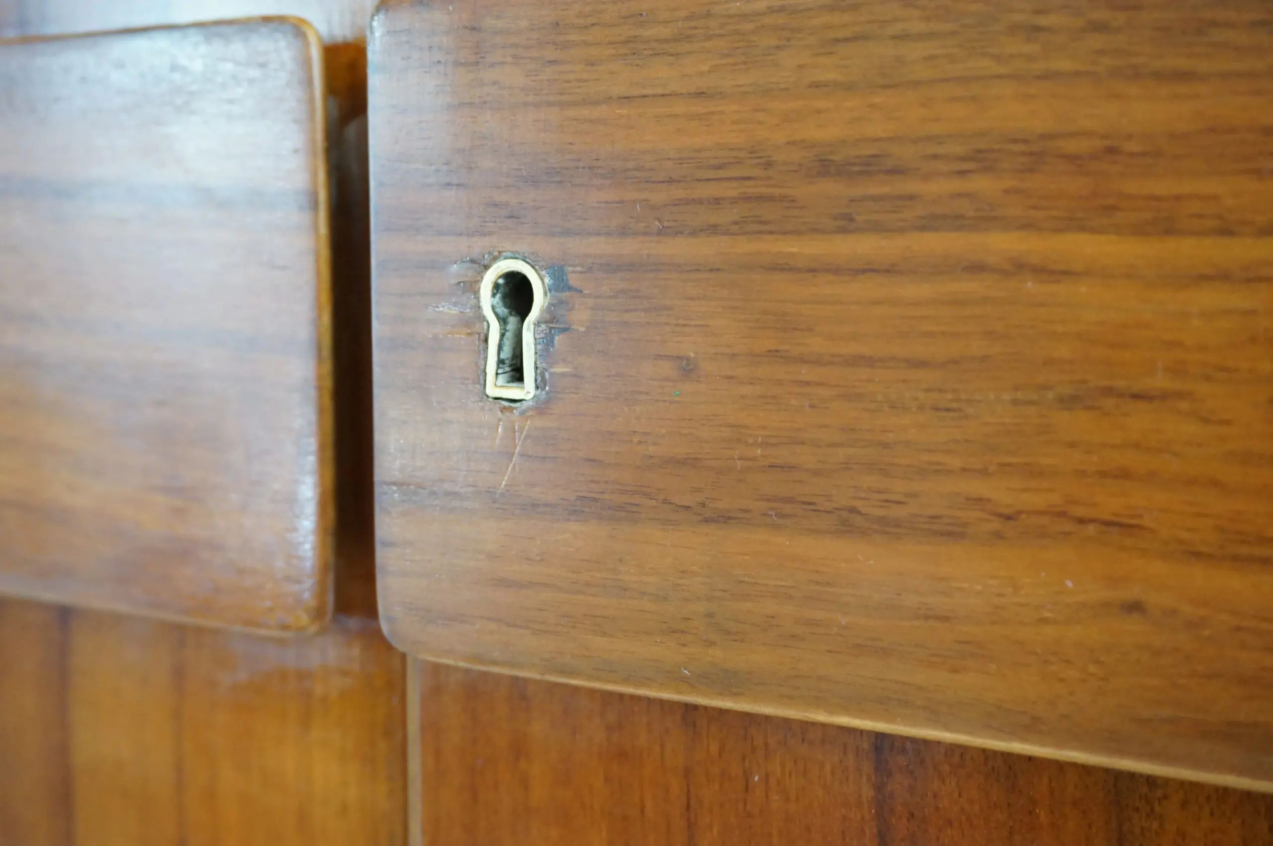 Pair of Gio Ponti Wardrobe  Doors from the Hotel Royal, Naples, 1955 — photo 10