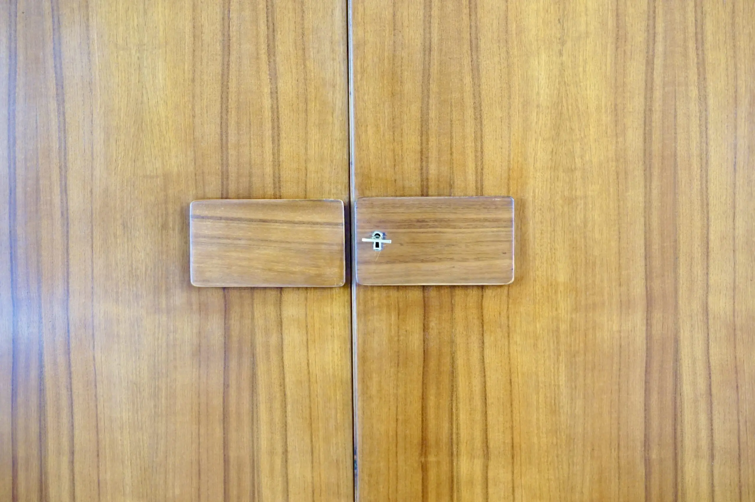 Pair of Gio Ponti Wardrobe Doors from the Hotel Royal, Naples, 1955 — image 3