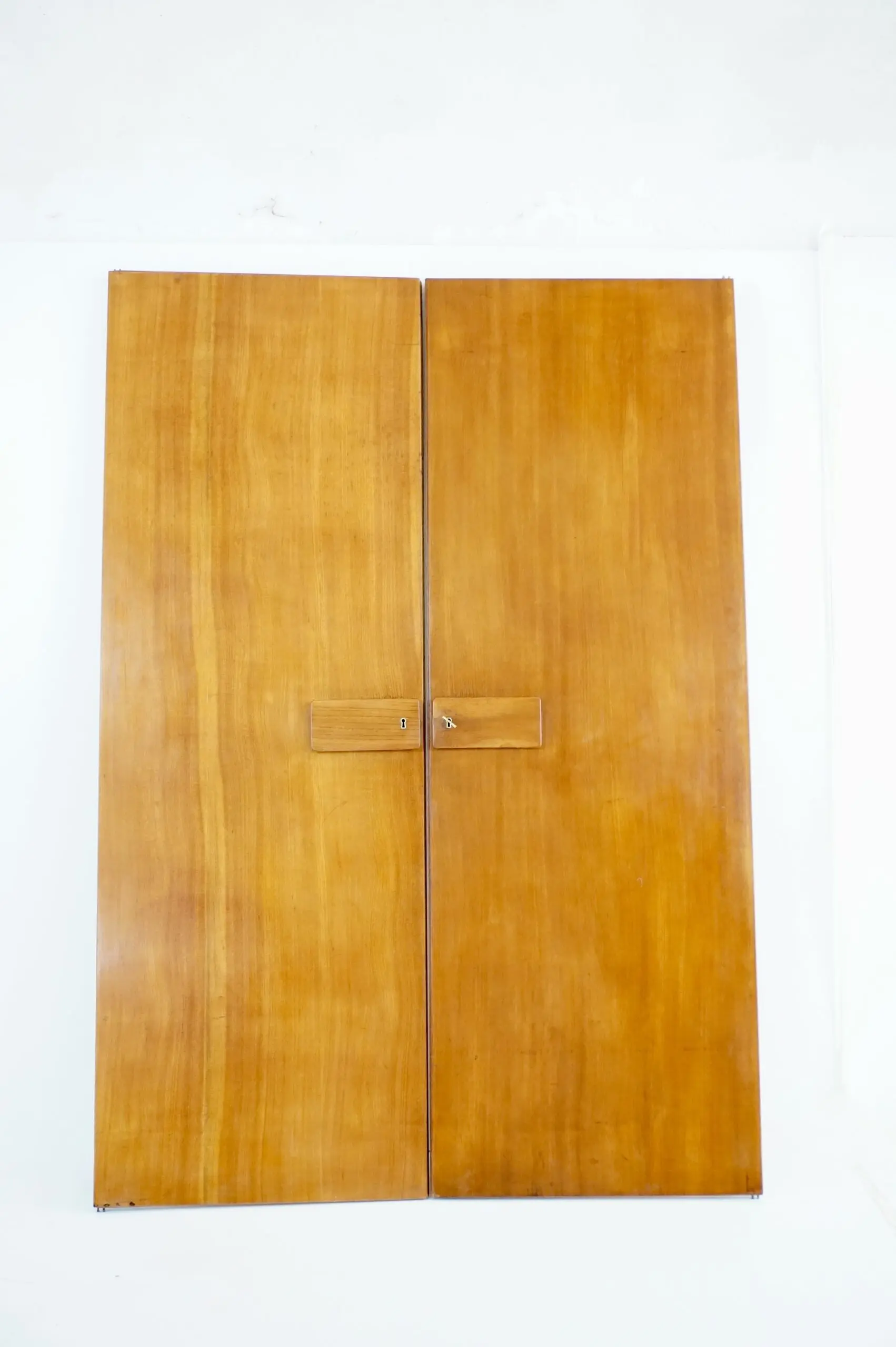 Pair of large Gio Ponti olm Wardrobe Doors from the Hotel Royal, Naples, 1955 — image 3