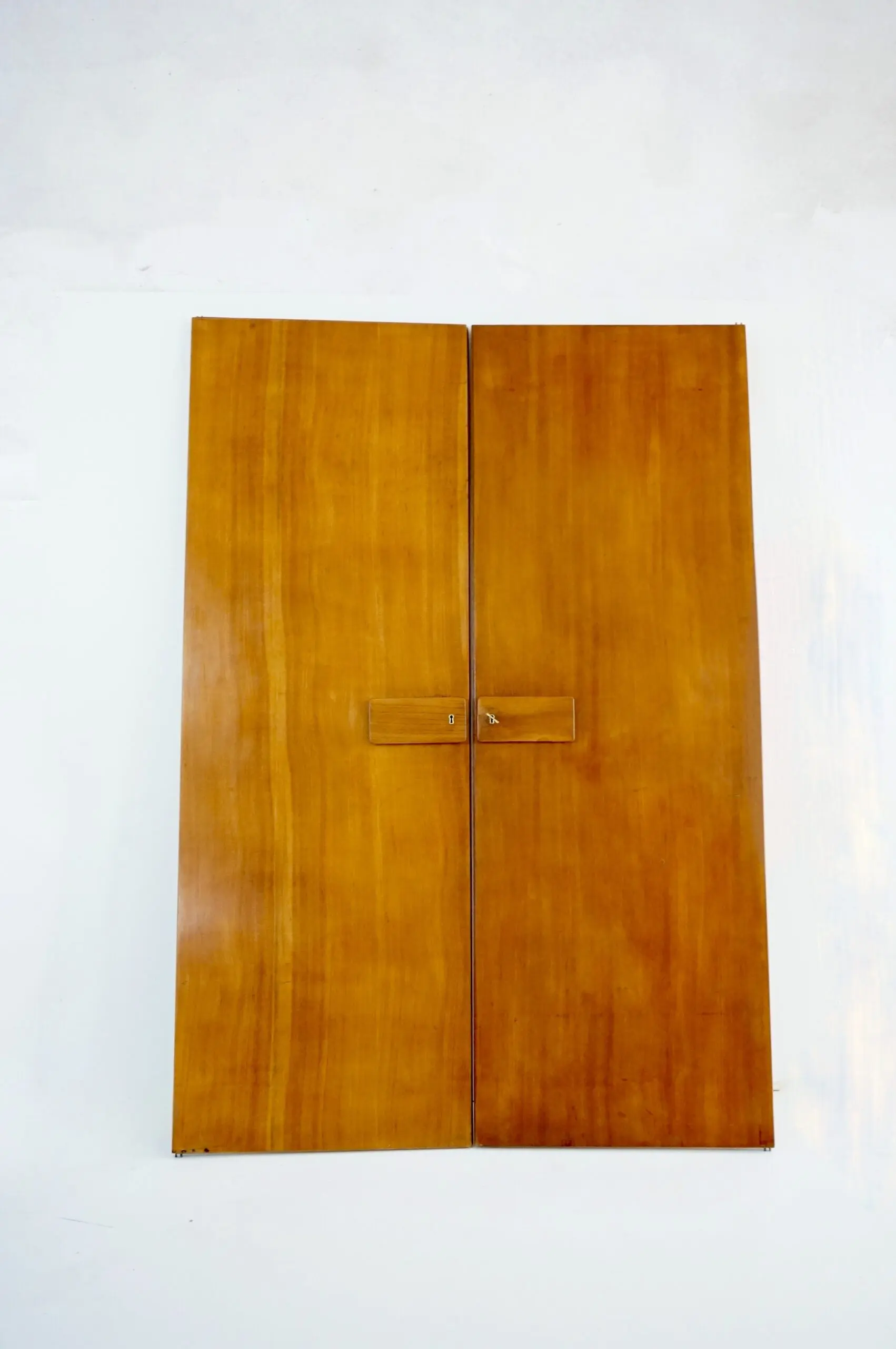 Pair of large Gio Ponti olm  Wardrobe Doors from the Hotel Royal, Naples, 1955 — photo 5