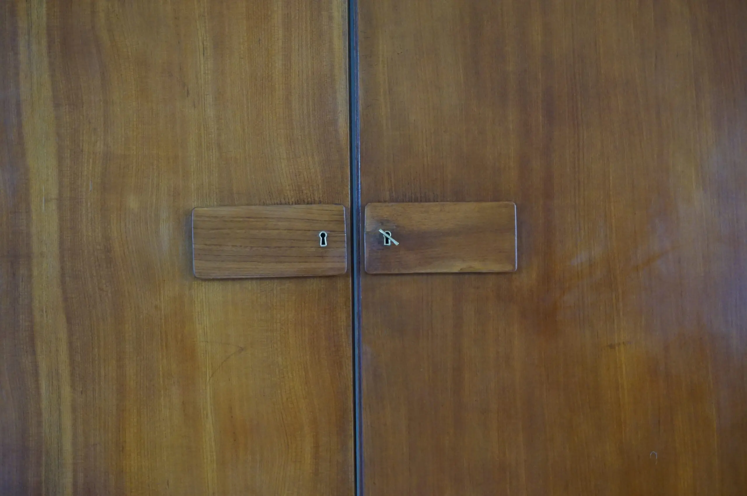 Pair of large Gio Ponti olm  Wardrobe Doors from the Hotel Royal, Naples, 1955 — photo 4