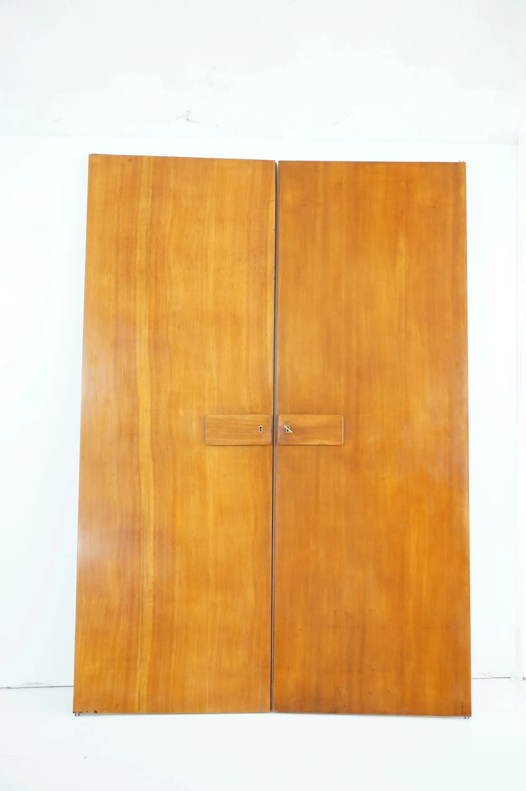 Pair of large Gio Ponti olm  Wardrobe Doors from the Hotel Royal, Naples, 1955 — photo 6