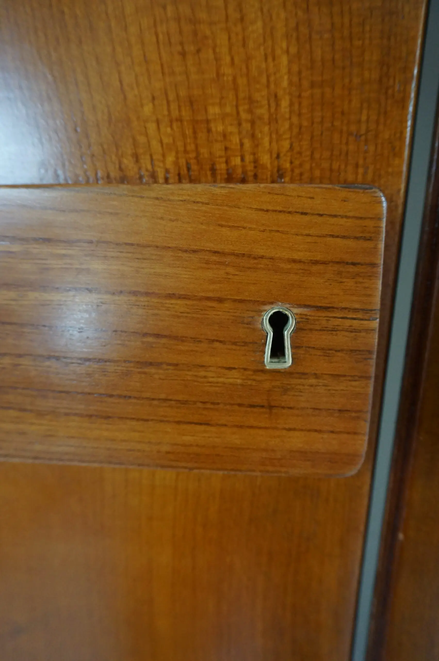 Pair of large Gio Ponti olm  Wardrobe Doors from the Hotel Royal, Naples, 1955 — photo 14