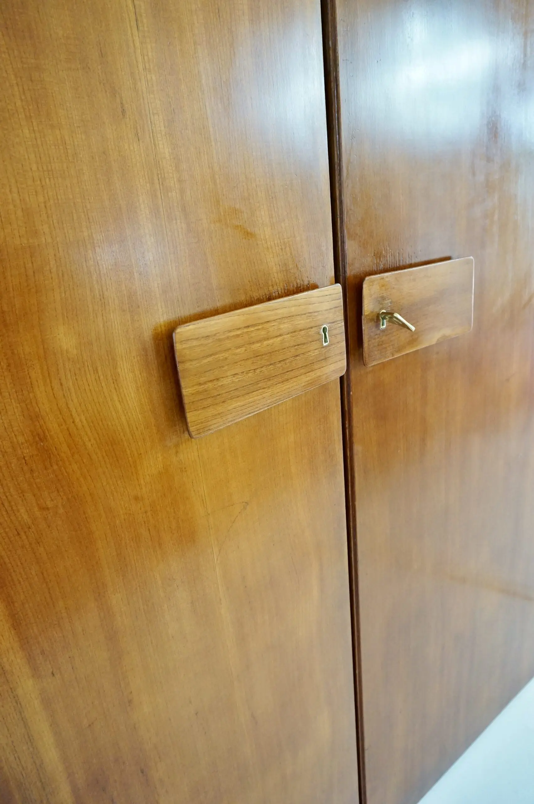 Pair of large Gio Ponti olm  Wardrobe Doors from the Hotel Royal, Naples, 1955 — photo 8