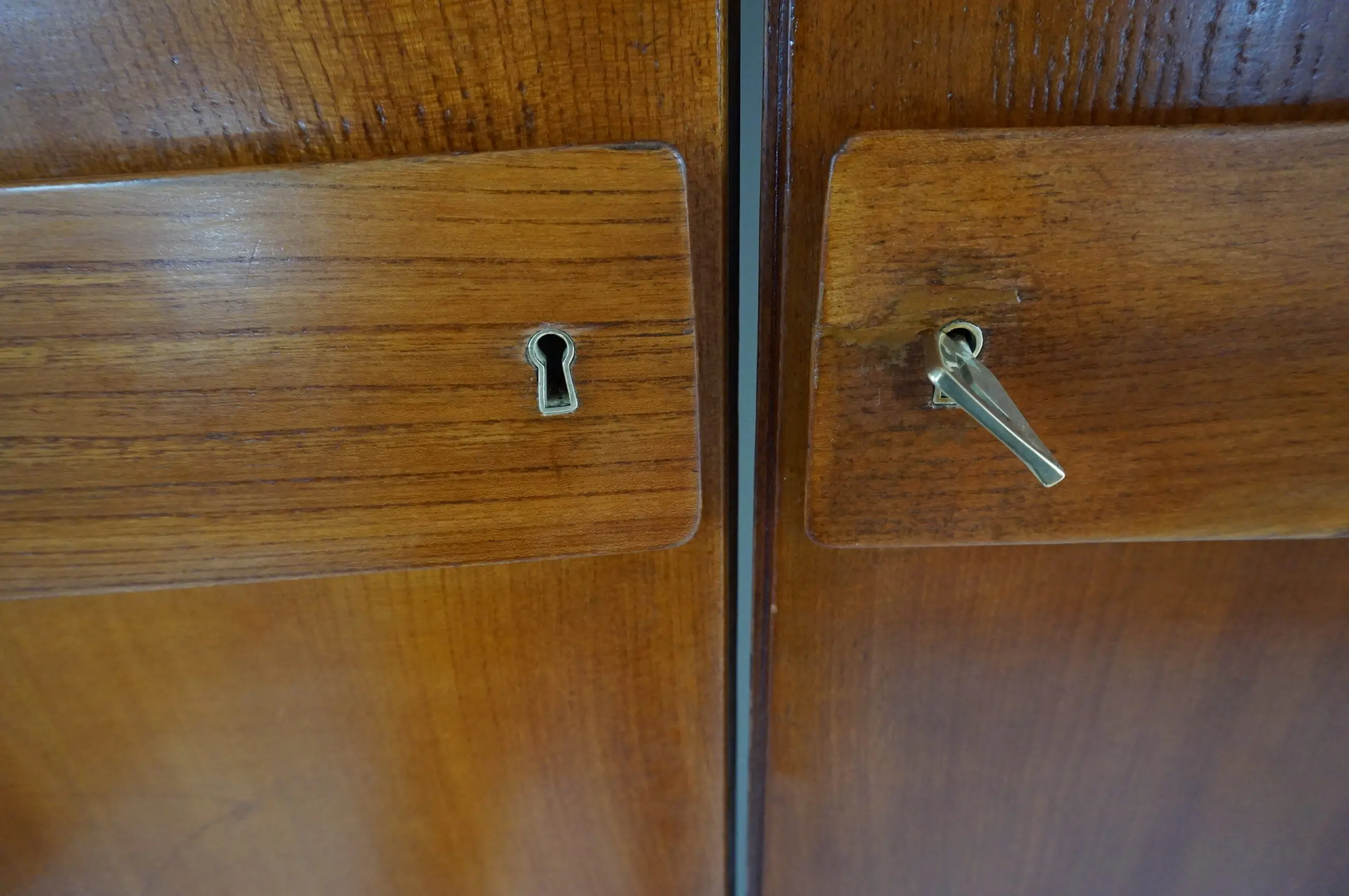 Pair of large Gio Ponti olm  Wardrobe Doors from the Hotel Royal, Naples, 1955 — photo 11