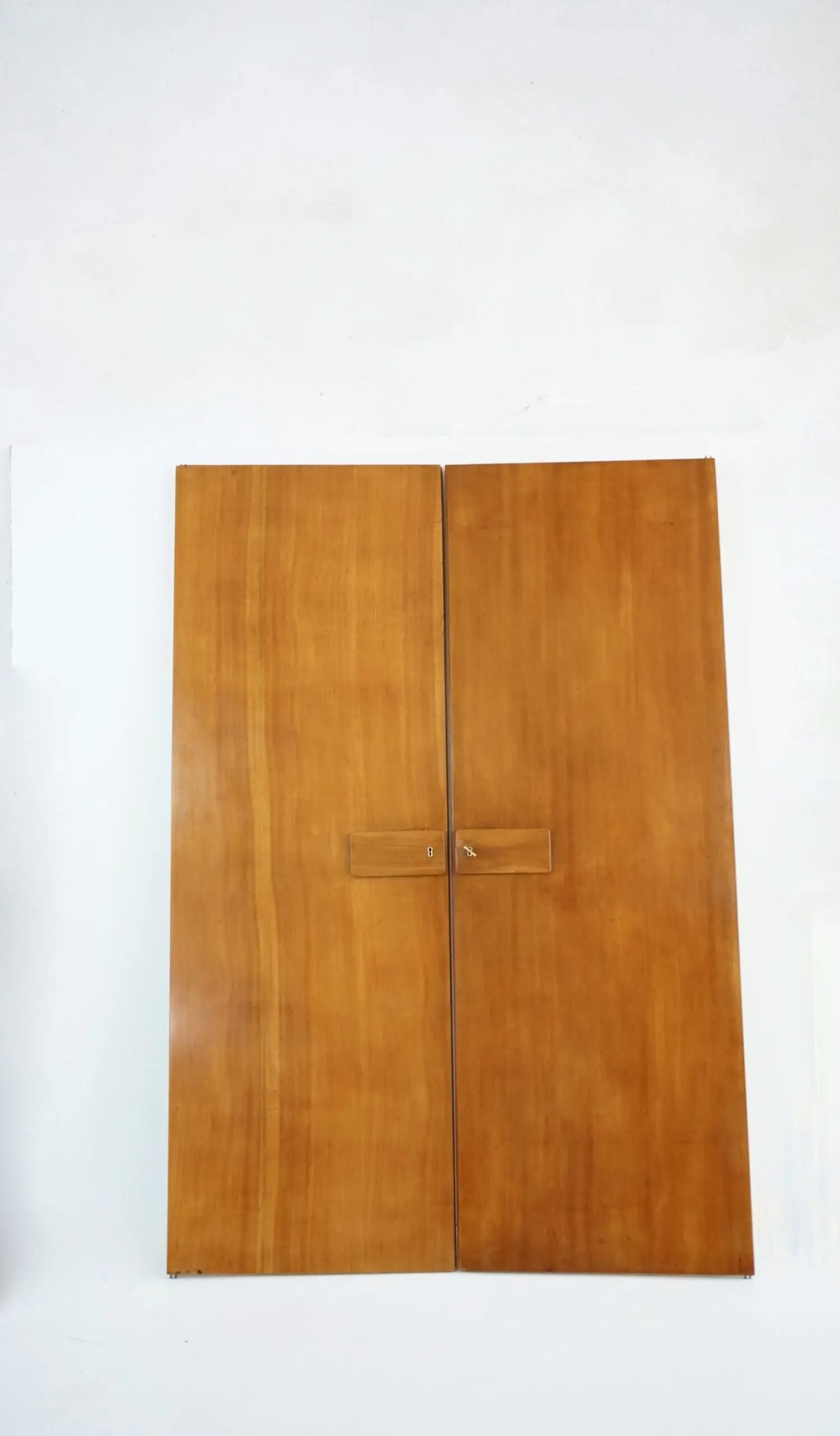 Pair of large Gio Ponti olm  Wardrobe Doors from the Hotel Royal, Naples, 1955 — Gio Ponti