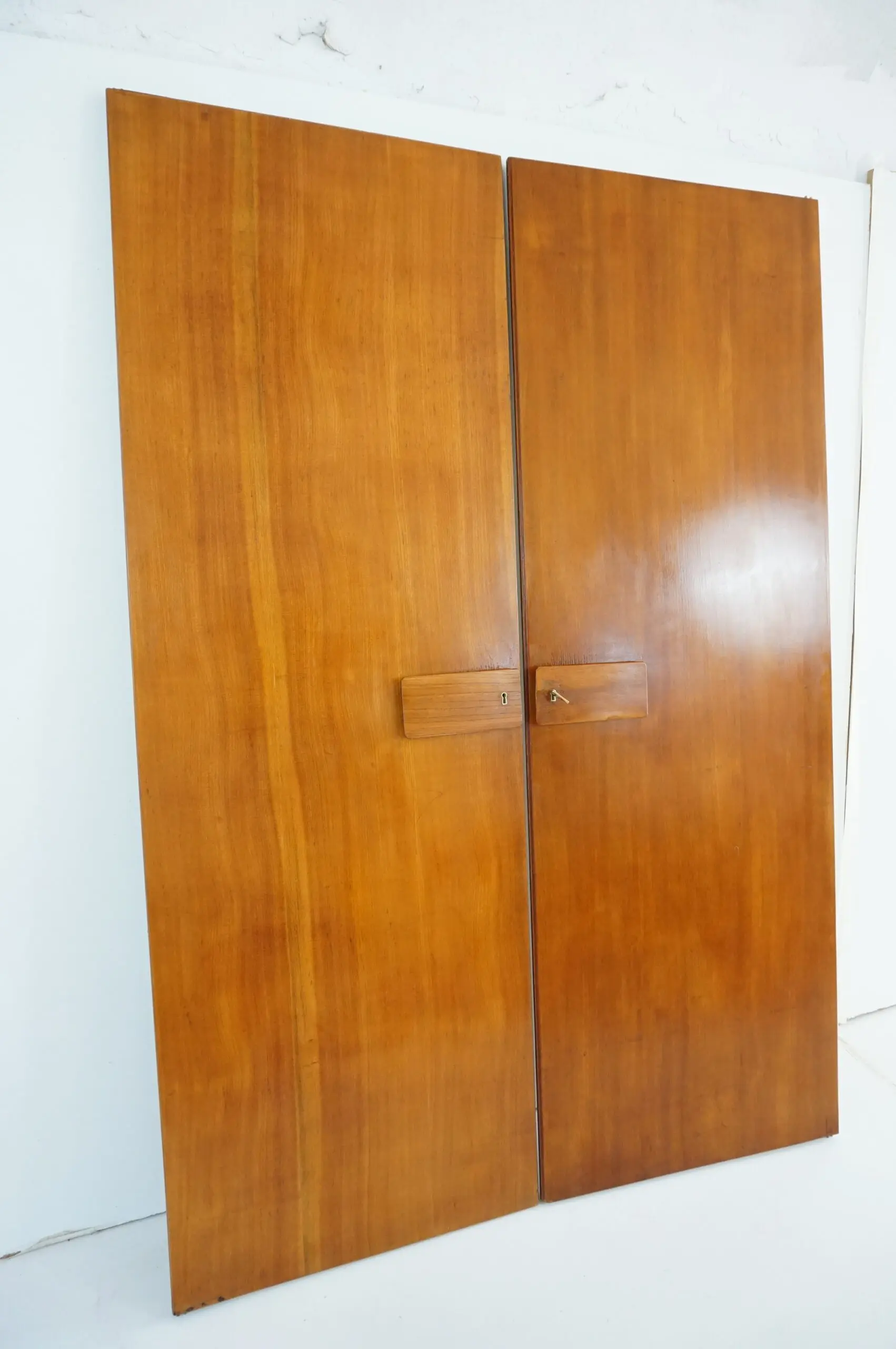 Pair of large Gio Ponti olm  Wardrobe Doors from the Hotel Royal, Naples, 1955 — photo 7