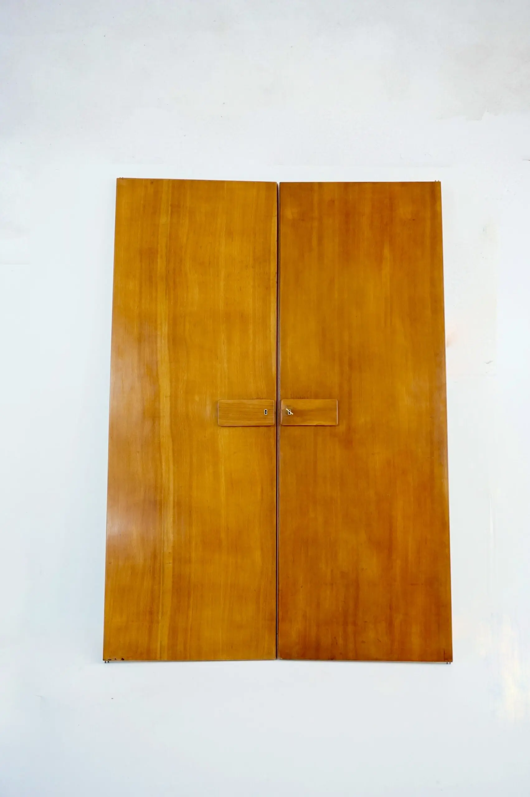 Pair of large Gio Ponti olm Wardrobe Doors from the Hotel Royal, Naples, 1955 — image 2