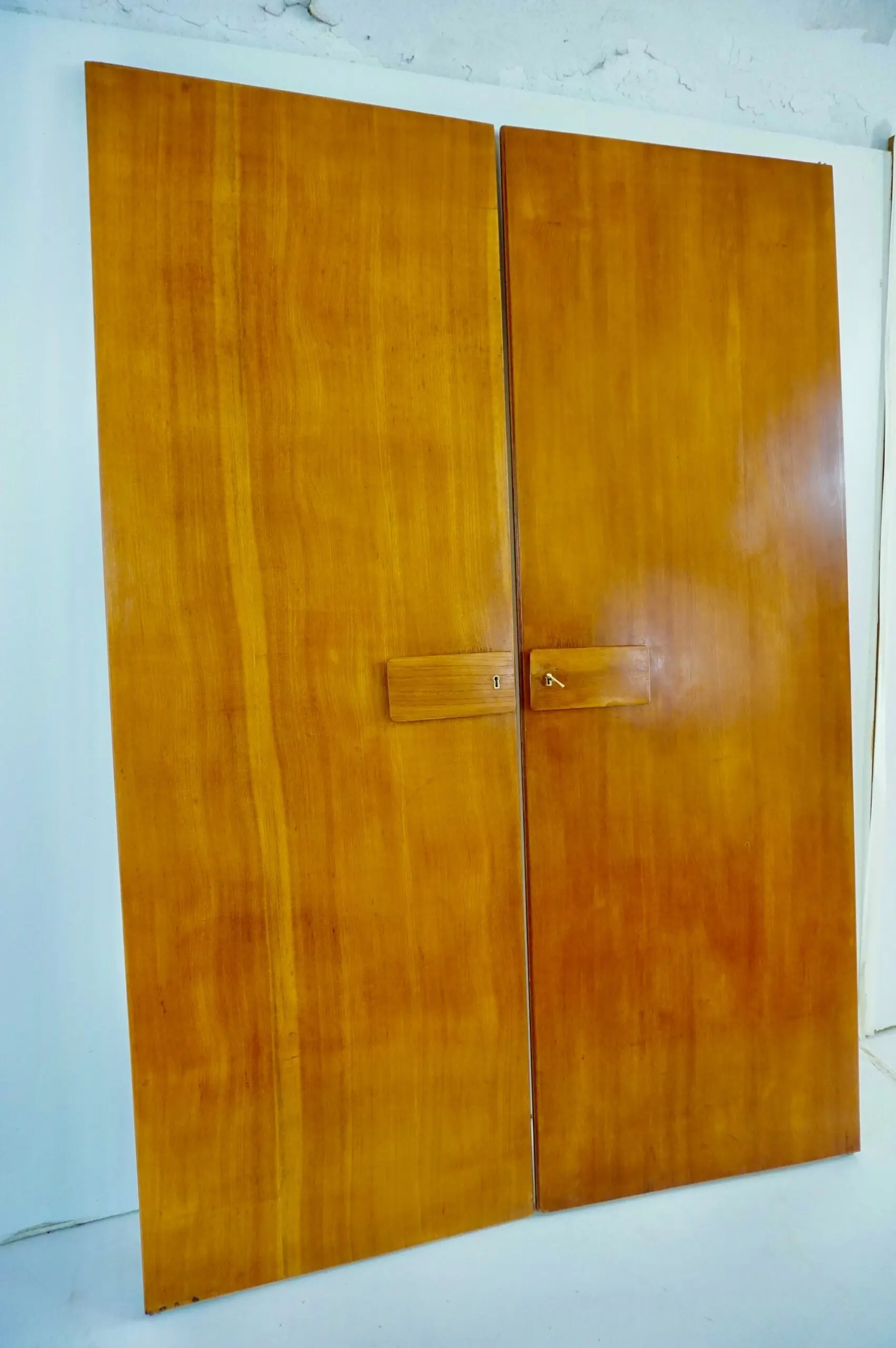 Pair of large Gio Ponti olm  Wardrobe Doors from the Hotel Royal, Naples, 1955 — photo 9