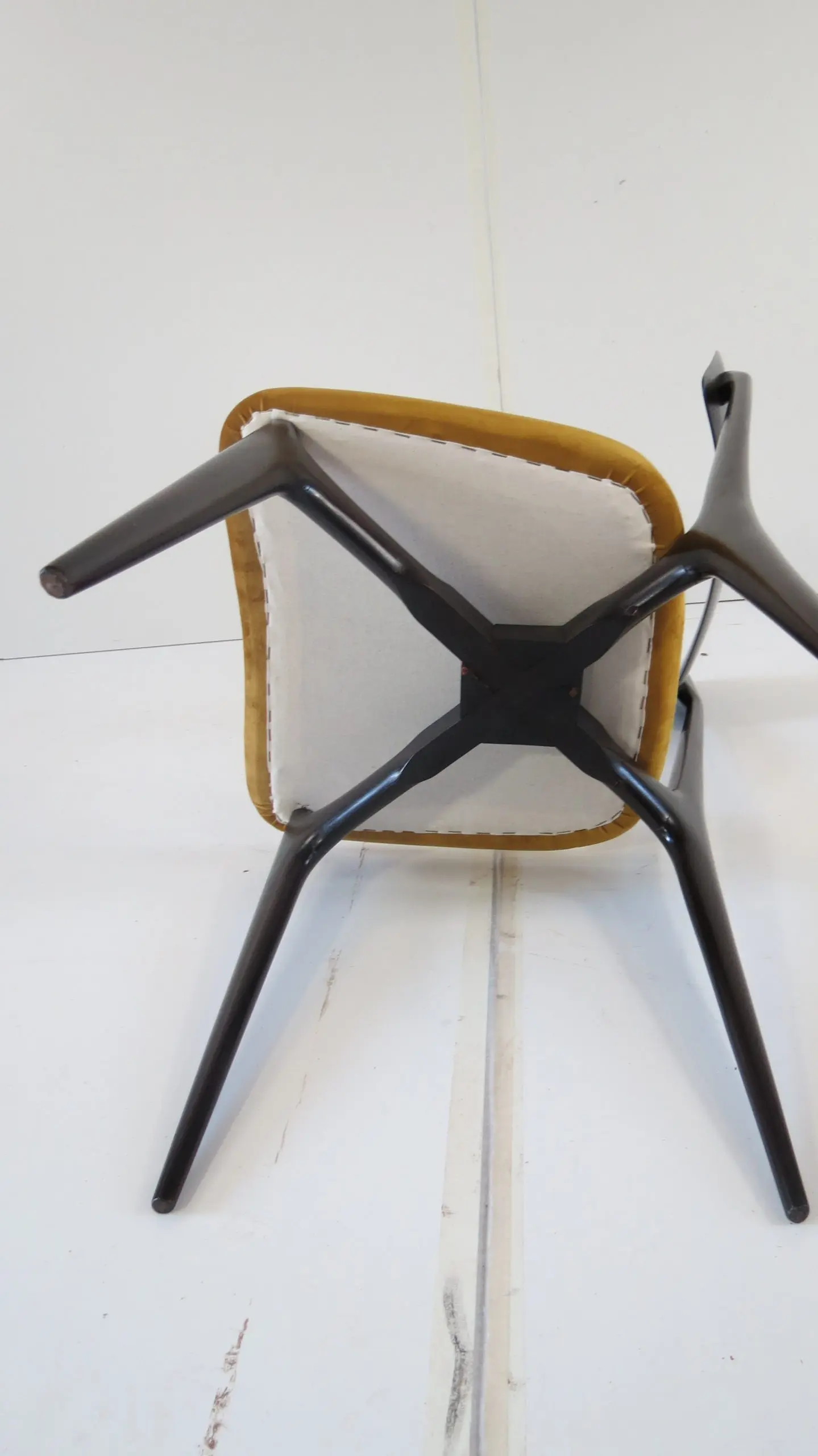 Set of Six Ico and Luisa Parisi Ebonized Dining Chairs by Ariberto Colombo, 1952 — photo 15