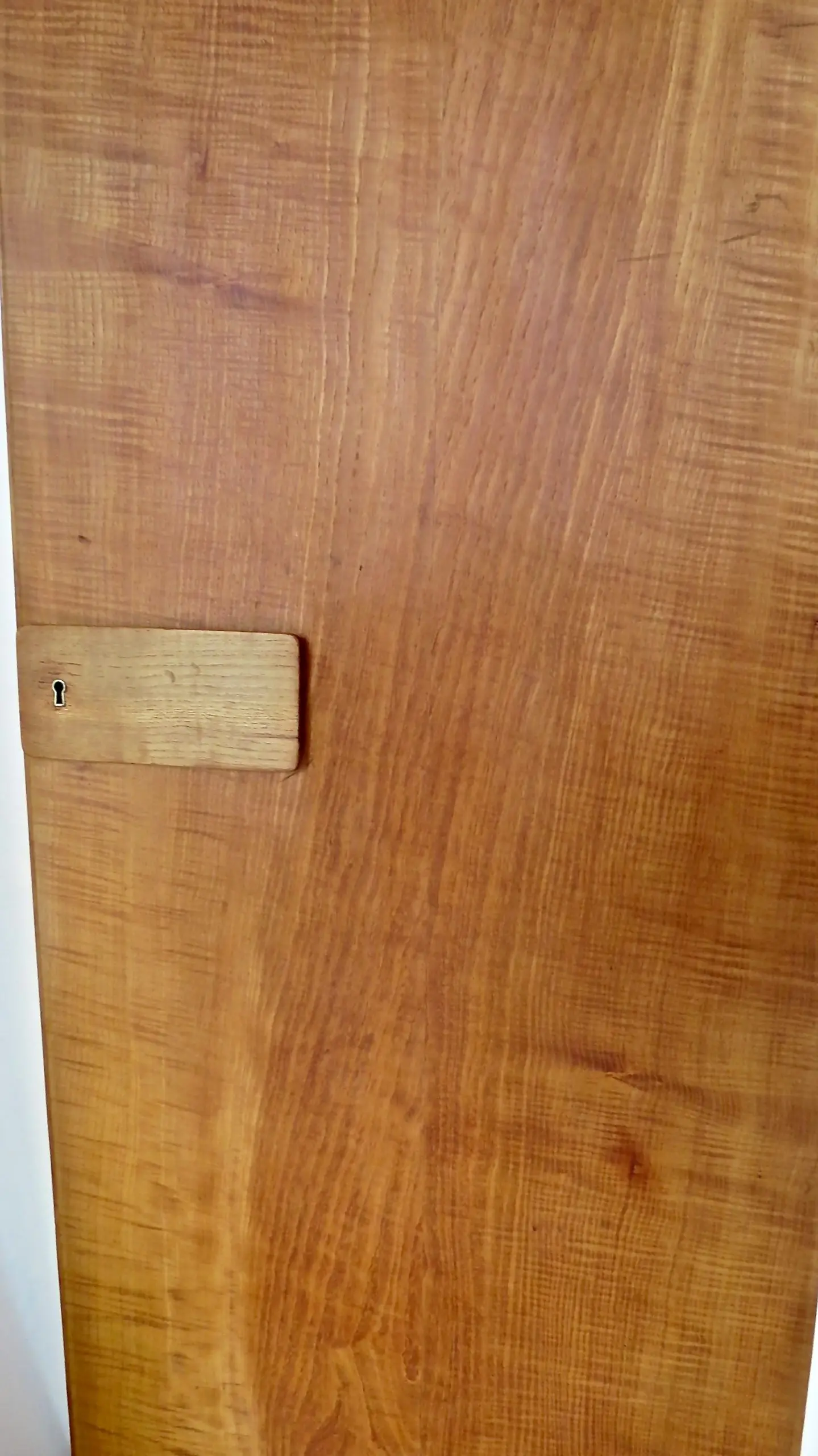 Pair of rare Gio Ponti Wardrobe Doors from the Hotel Royal, Naples, 1955 — photo 12