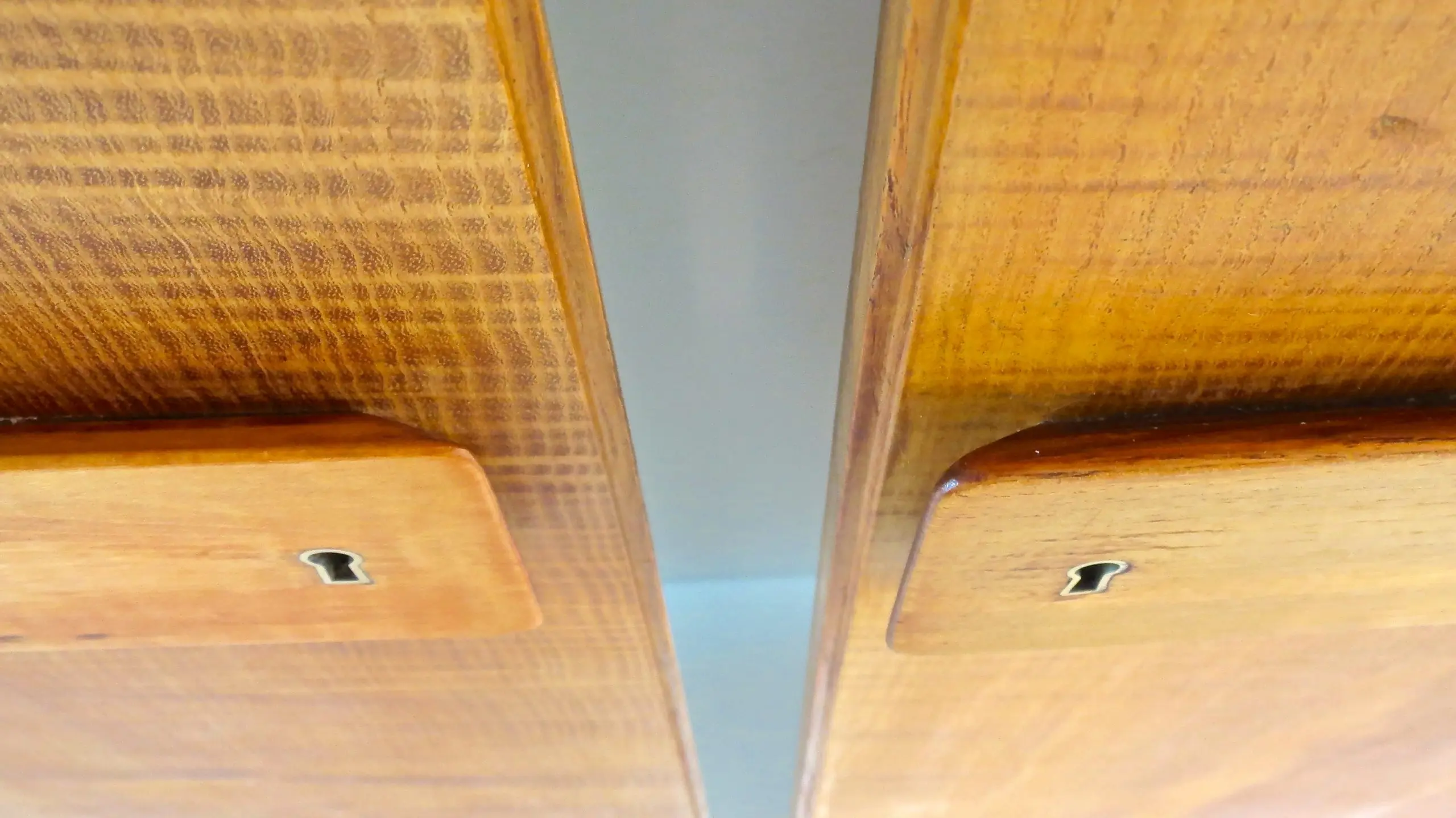 Pair of rare Gio Ponti Wardrobe Doors from the Hotel Royal, Naples, 1955 — photo 9
