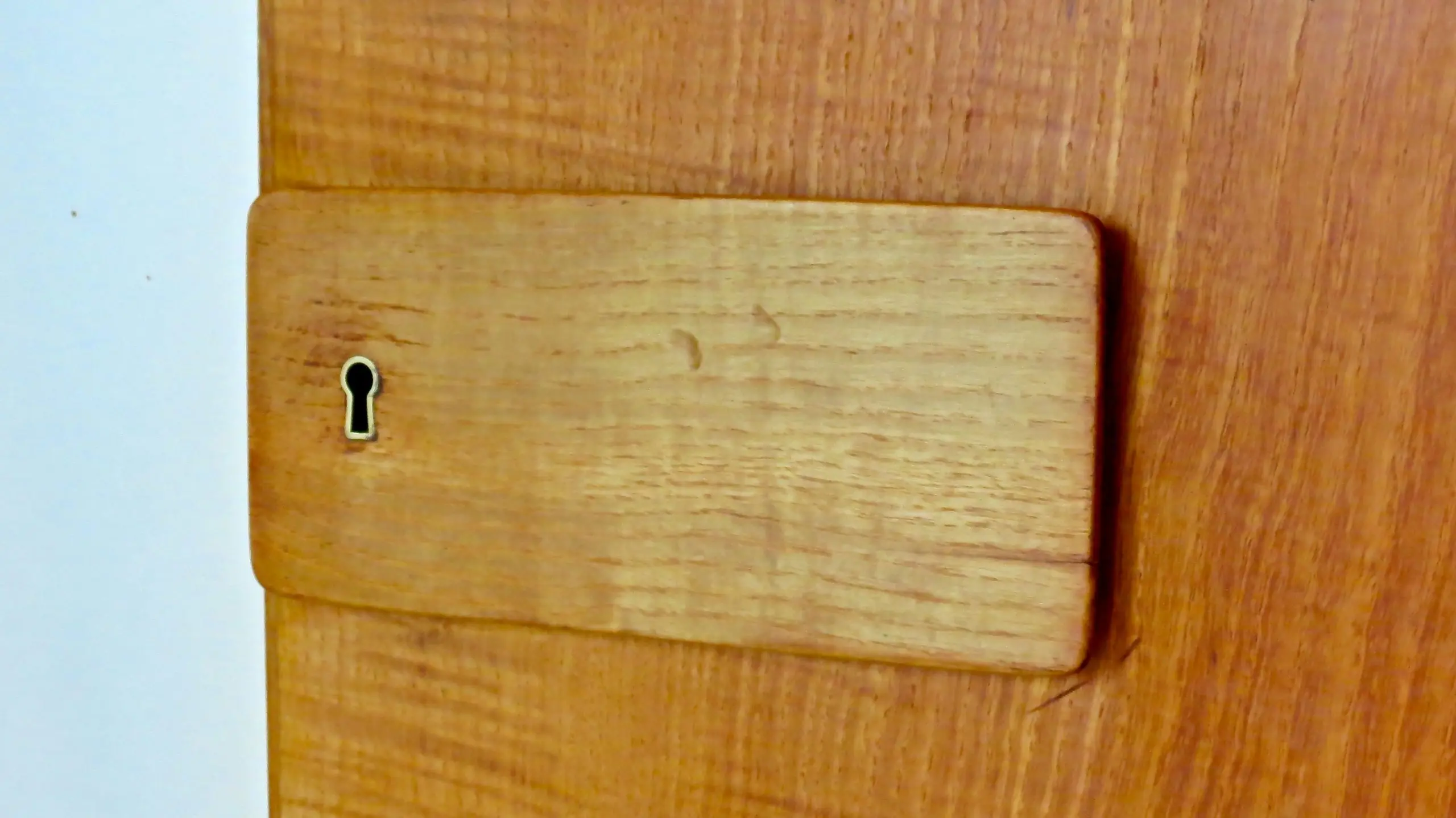 Pair of rare Gio Ponti Wardrobe Doors from the Hotel Royal, Naples, 1955 — photo 11