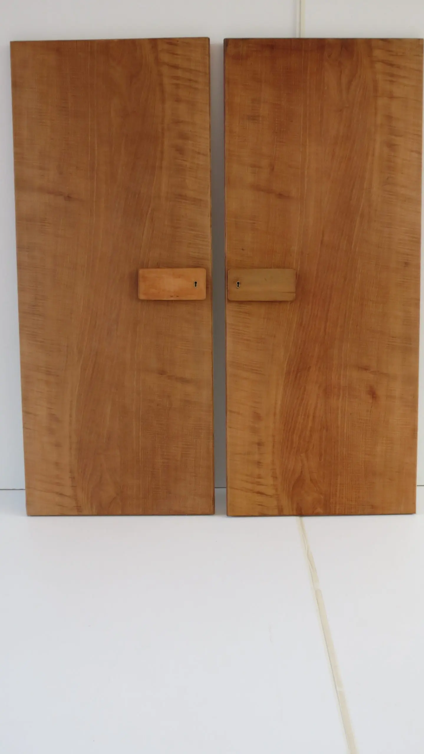 Pair of rare Gio Ponti Wardrobe Doors from the Hotel Royal, Naples, 1955 — image 2