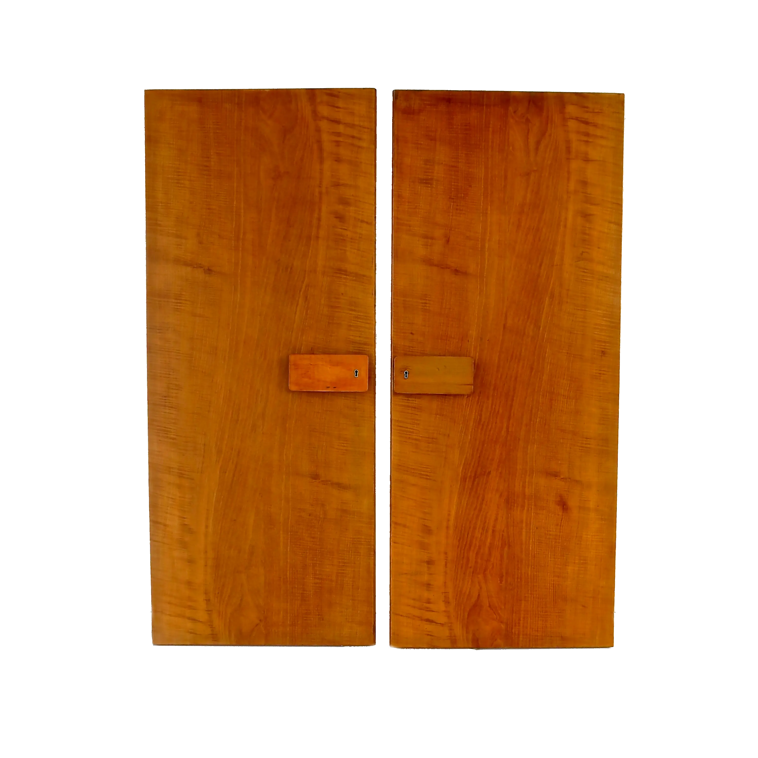 Pair of rare Gio Ponti Wardrobe Doors from the Hotel Royal, Naples, 1955 — Gio Ponti