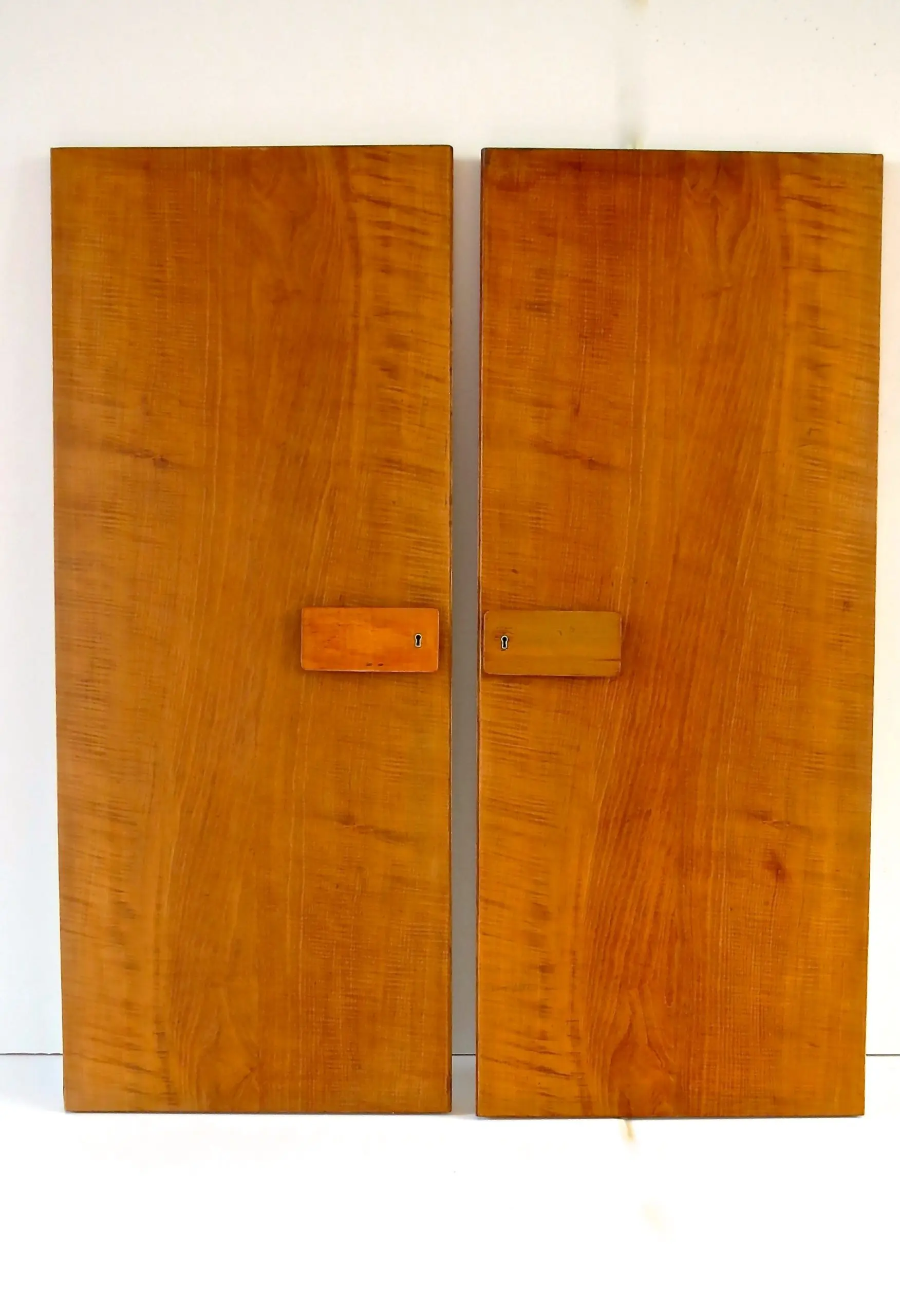 Pair of rare Gio Ponti Wardrobe Doors from the Hotel Royal, Naples, 1955 — photo 4