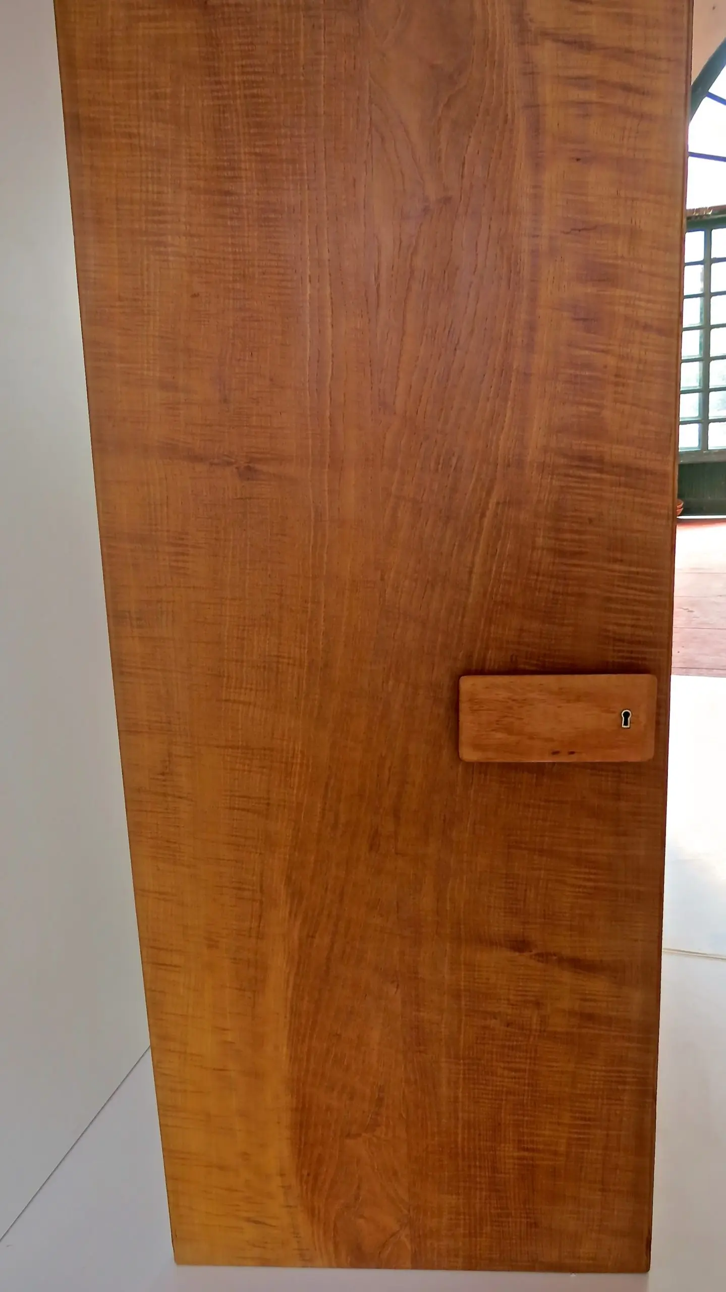 Pair of rare Gio Ponti Wardrobe Doors from the Hotel Royal, Naples, 1955 — photo 16