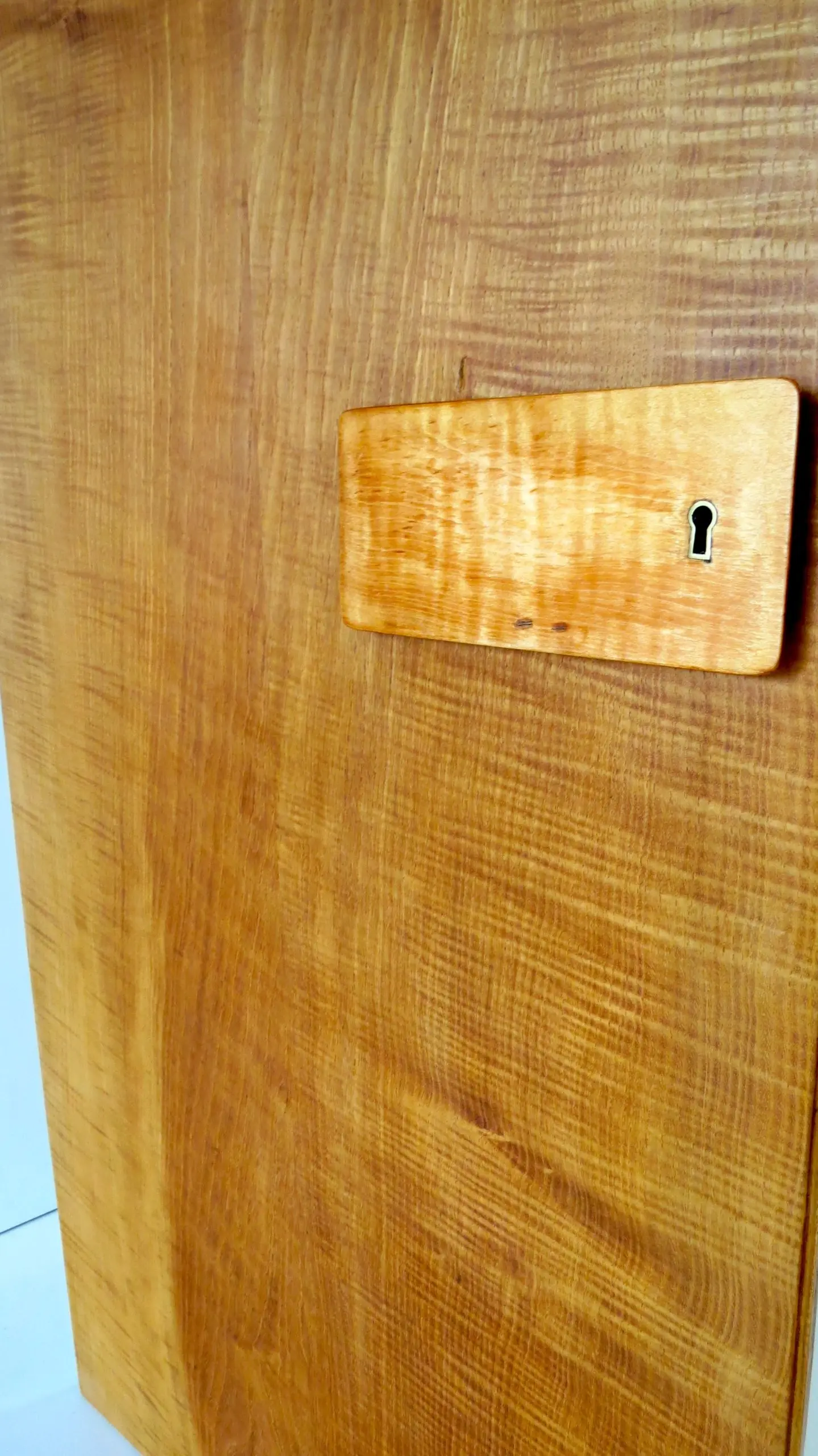 Pair of rare Gio Ponti Wardrobe Doors from the Hotel Royal, Naples, 1955 — photo 21