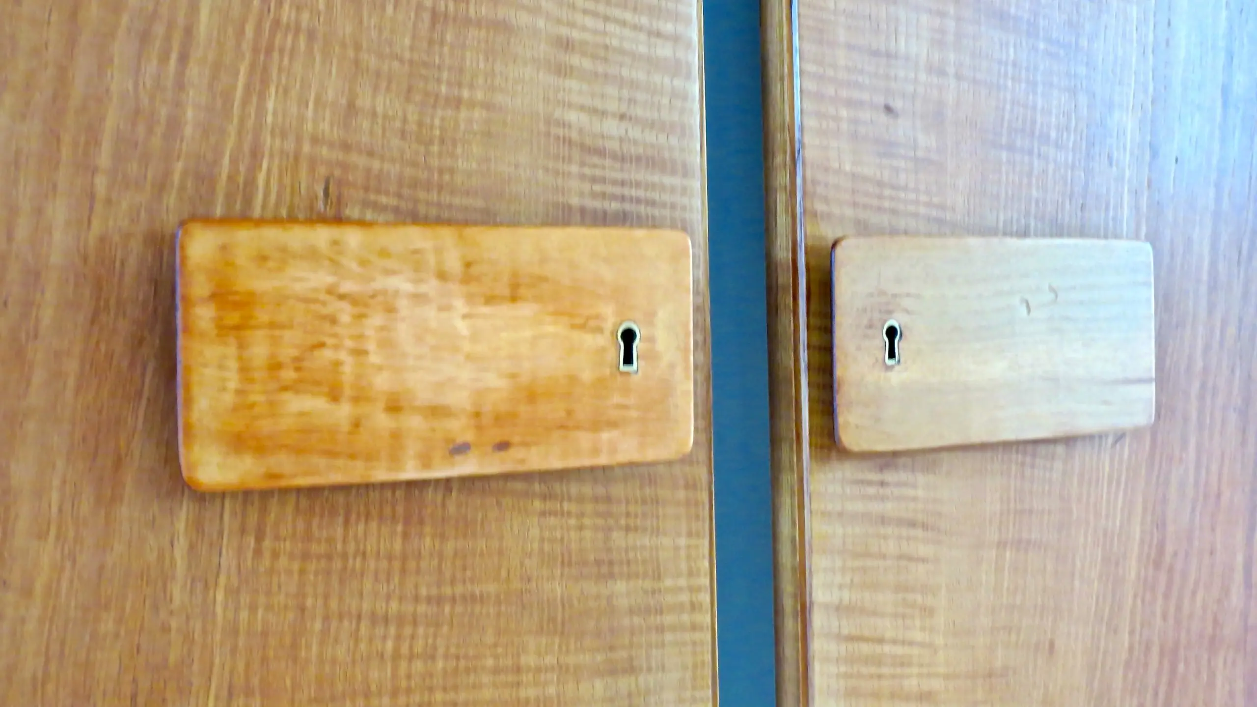 Pair of rare Gio Ponti Wardrobe Doors from the Hotel Royal, Naples, 1955 — photo 5