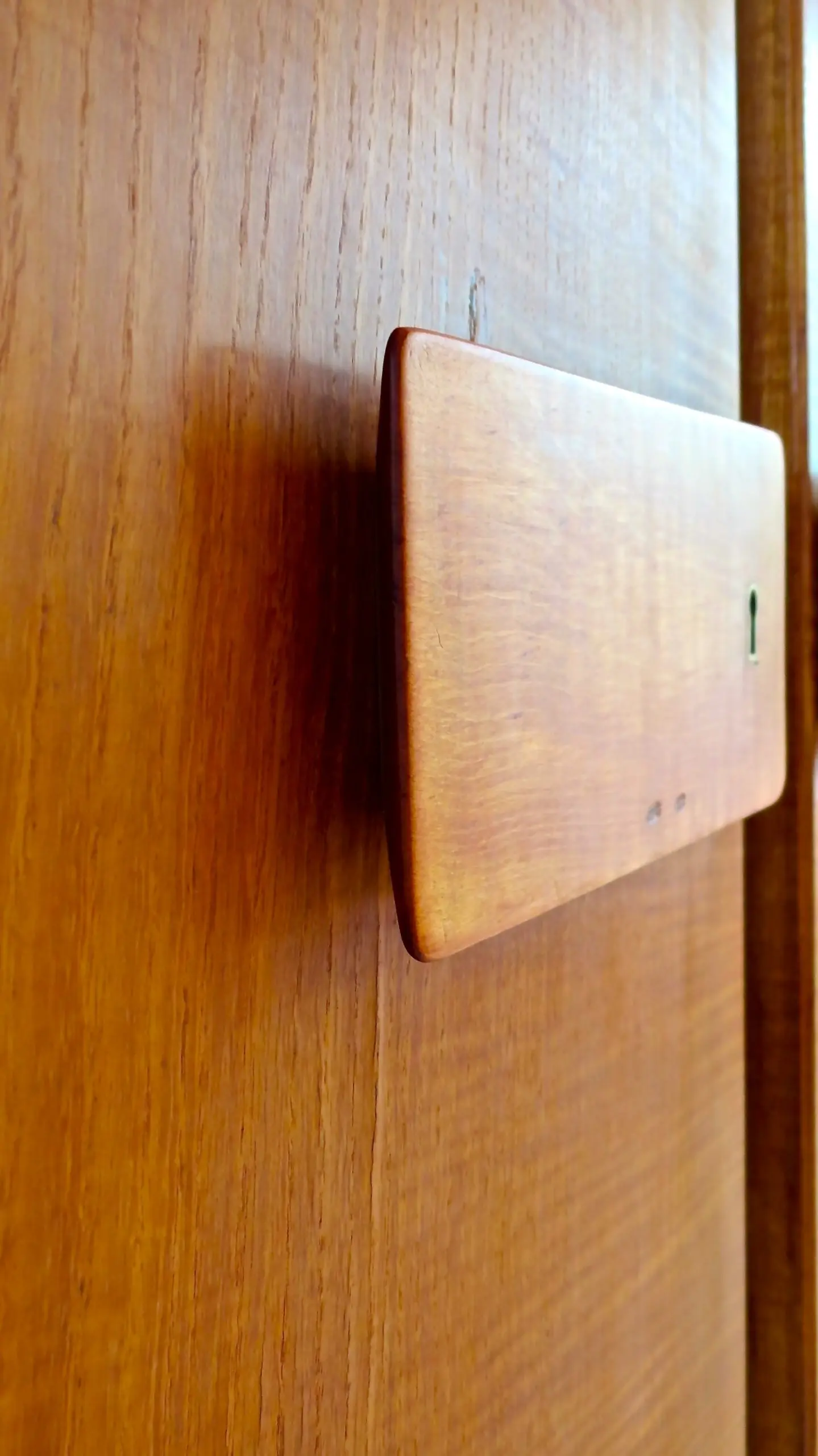Pair of rare Gio Ponti Wardrobe Doors from the Hotel Royal, Naples, 1955 — photo 8