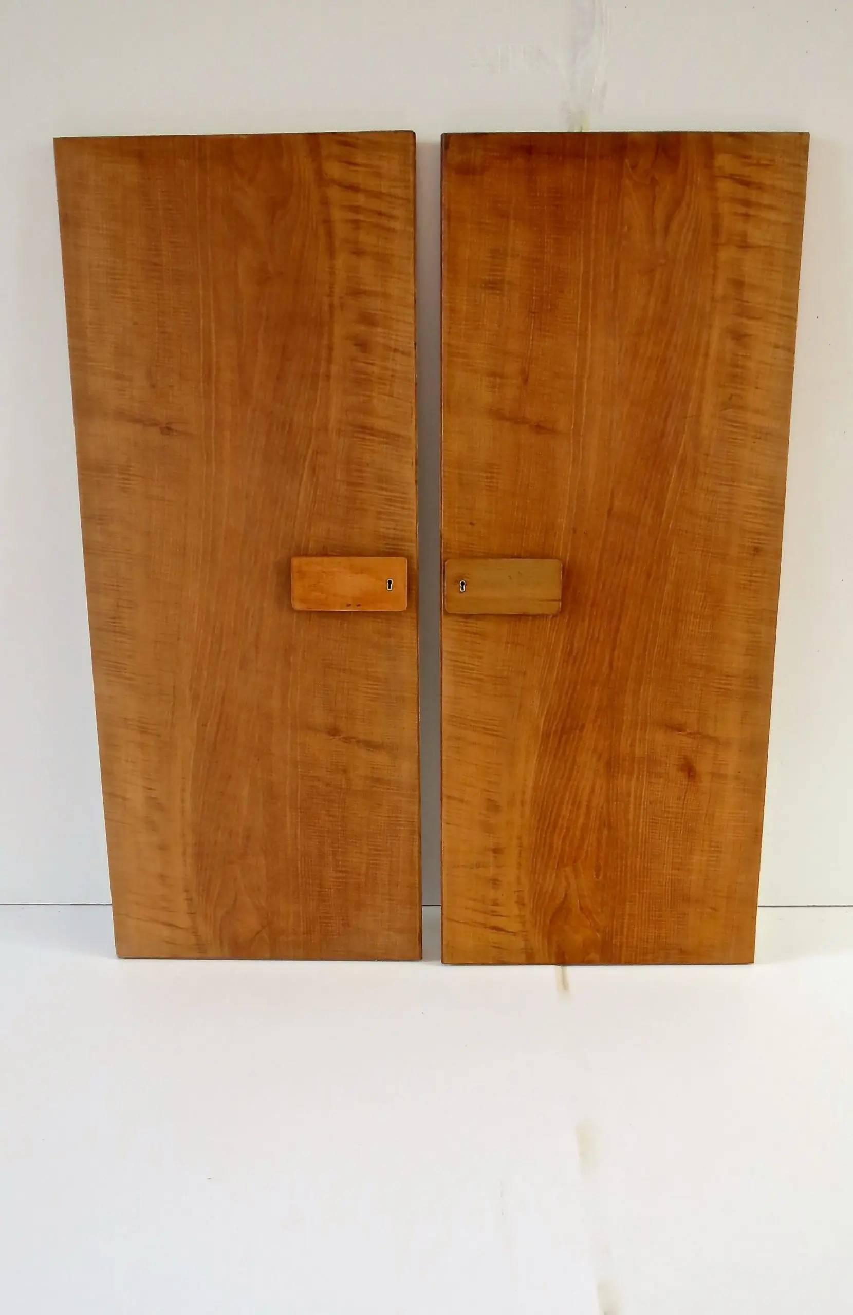 Pair of rare Gio Ponti Wardrobe Doors from the Hotel Royal, Naples, 1955 — image 3